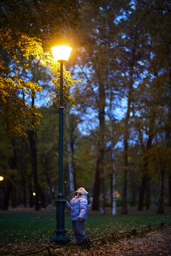 Child looks up at a street lamp in a park during dusk as trees surround the area with fallen leaves on the ground