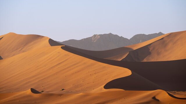 Red-yellow sand dunes of the Namib, Namib Desert, Namib-Naukluft National Park, Namibia