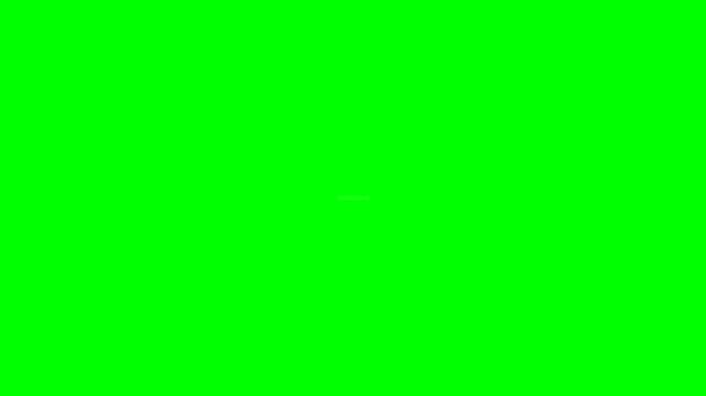 Minimalist White Search Bar Animation with Magnifying Glass Icon Isolated on Green Screen Background