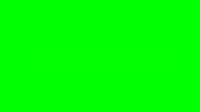 Minimalist Search Bar Animation with Magnifying Glass Icon on Chroma Key Green Screen Background
