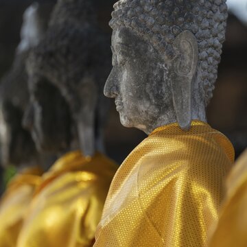 Row of Buddha statues with golden yellow tunic around the Great Chedi Chaya Mongkol, Wat Yai Chai Mongkon, Ayutthaya, Thailand