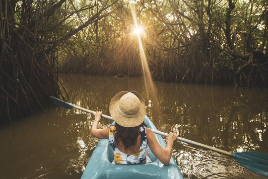 Woman sit in kayak POV row in mangrove on sunrise do active sports outdoors on holiday destination Sri lanka, Tangalle, south coast