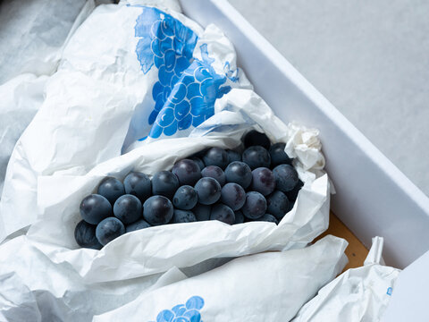 Packaged fresh grapes, fresh fruit