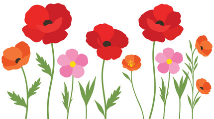 Fototapeta premium Red Poppy Flowers Collection Isolated on White Background, Vibrant Spring and Summer Floral Vector Illustration with Blooming Wildflowers, Leaves and Botanical Design Elements