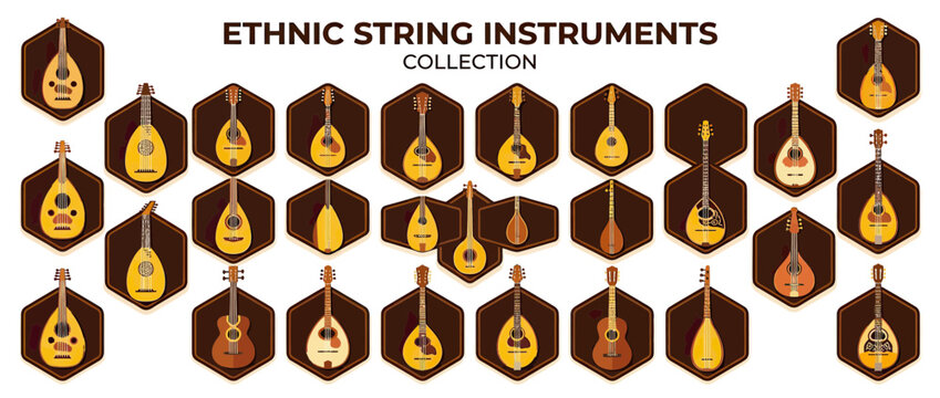 Collection of Ethnic String Musical Instruments