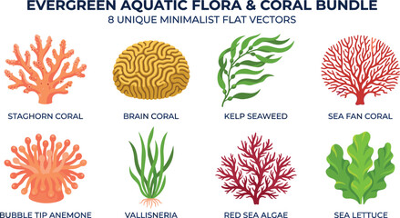 Aquatic Flora and Coral Vector Set Featuring Staghorn Coral Brain Coral Seaweeds and Anemone © Raju