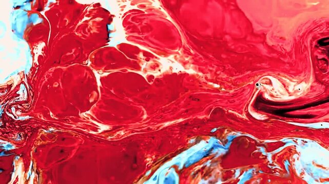 Vibrant red and blue paint pigments swirl for artistic abstract art