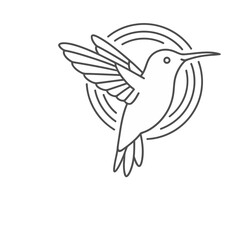 Fototapeta premium Hummingbird line art logo