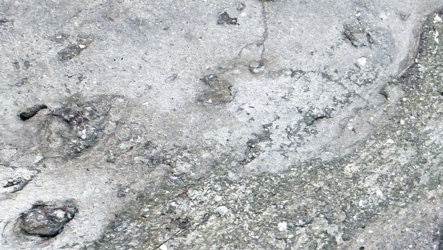 Rough Weathered Concrete with Exposed Aggregate and Mossy Patches