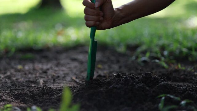 Soil Research and Analysis in Agricultural Field