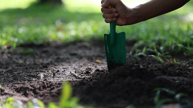Soil Research and Analysis in Agricultural Field