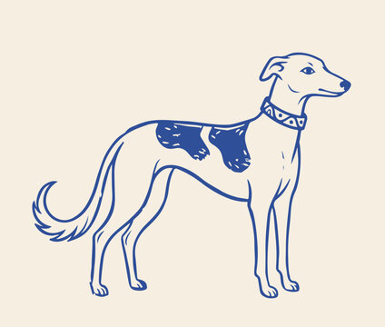 Vintage greyhound dog vector illustration, hand drawn blue ink sighthound sketch, elegant whippet animal profile with patterned collar