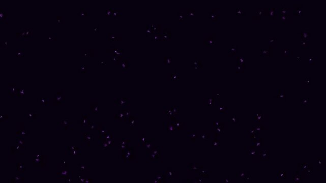 Twinkling stars and distant galaxies in the infinite void of space