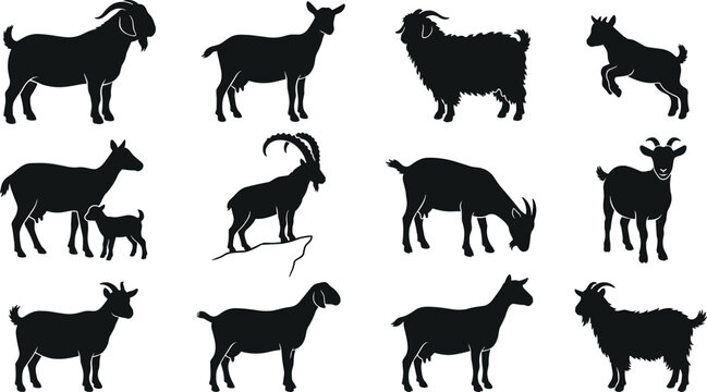 Black Goat Silhouette Vector Set Featuring Horned Billy Goats Nannies Kids Grazing and Mountain Ibex Shapes for Agriculture Logo and Farm Branding Designs