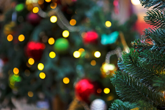 Christmas tree. The Christmas tree ornament is out of focus. Background for a holiday card. New Year's bokeh. Background for a Christmas card. Advertising space