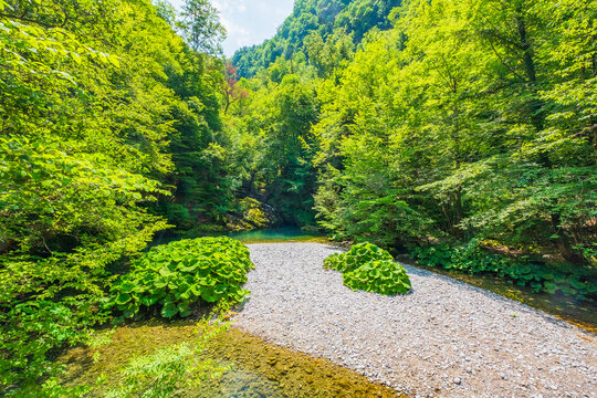 Green pool, or Zeleni vir, in Gorski kotar, Croatia
