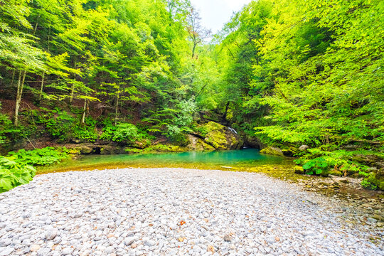 Green pool, or Zeleni vir, in Gorski kotar, Croatia
