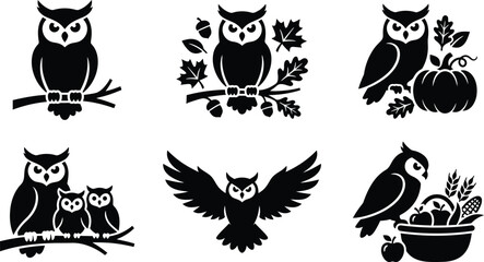 Naklejka premium Autumn owl bird harvest icon set. owl perched on tree branch, owl with acorns and leaves, owl next to pumpkin, owl family with owlets, flying owl with spread wings, owl perching on harvest basket
