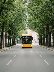 Obraz premium Yellow bus driving down a tree-lined street in a city.