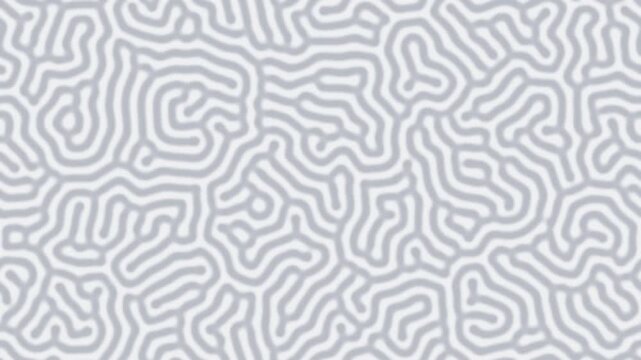 White organic turing pattern morphing slowly, biological seamless loop background