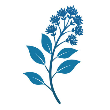 boneset azure eupatorium flower silhouette on white background