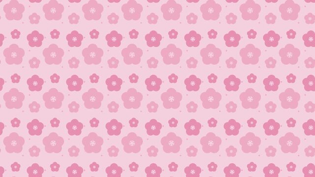 Pink japanese ume plum blossom pattern scrolling, traditional seamless loop background