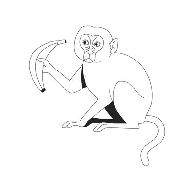 Macaque monkey holding banana while seated line art character. Indonesia tropical wildlife. Exotic mammal. Southeast Asia primate isolated vector outline animal. Black and white spot illustration