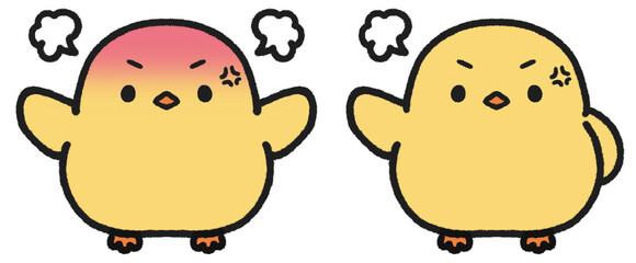 怒っているヒヨコのイラストセット © とりあいす