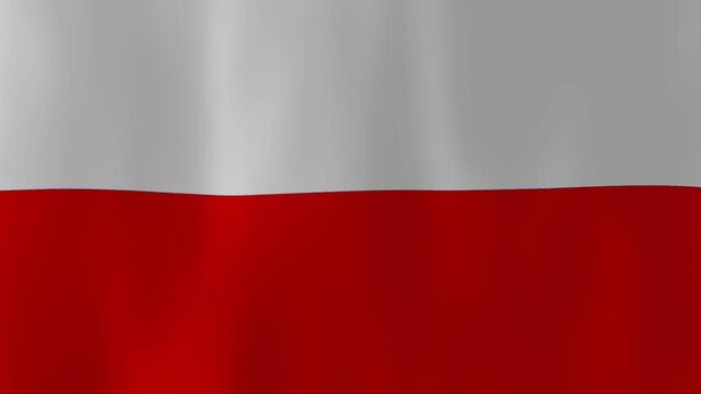Realistic Poland flag waving full screen animation loop, Polish patriotic background and national symbol close up
