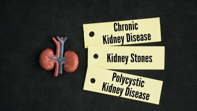 These three conditions are connected problems that affect how your kidneys work are Chronic Kidney Disease, Kidney Stones, Polycystic Kidney Disease word. 