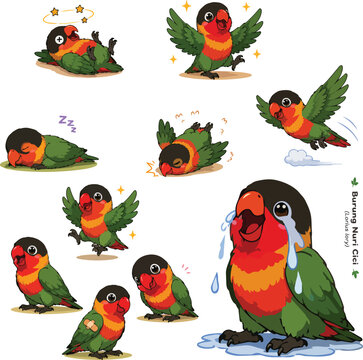 set of parrots