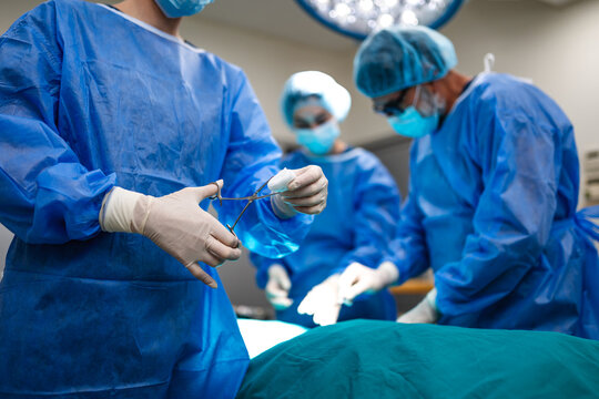 Surgeon holding surgical instrument with cotton. Medical operation in progress, Hospital and healthcare concept. Professional doctor in scrubs working in operating room with team in background.