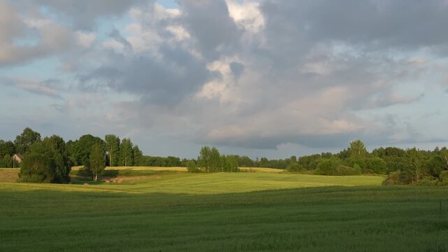 A sea of clouds at the end of a summer day