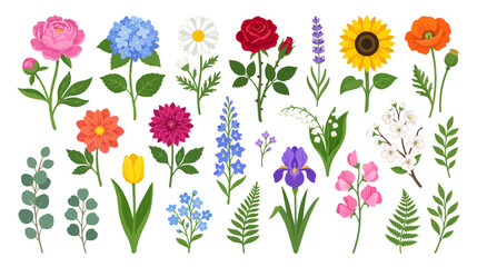 Obraz premium Vibrant Assortment of Delicate Spring and Summer Flowers Collection