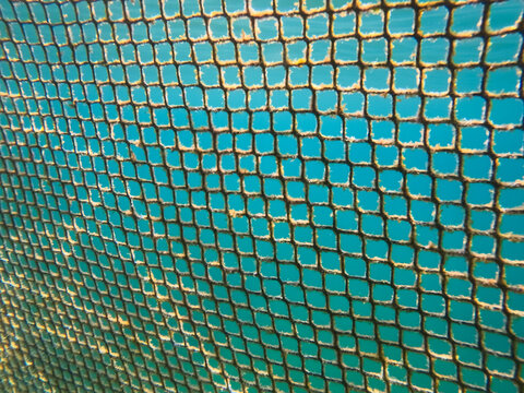Underwater close up view of anti jellyfish protective net mesh structure covered in algae with vibrant turquoise clear sea water background.