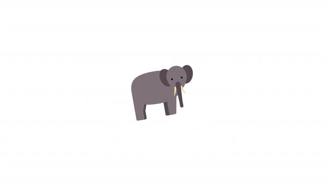 Elephant vector illustration
