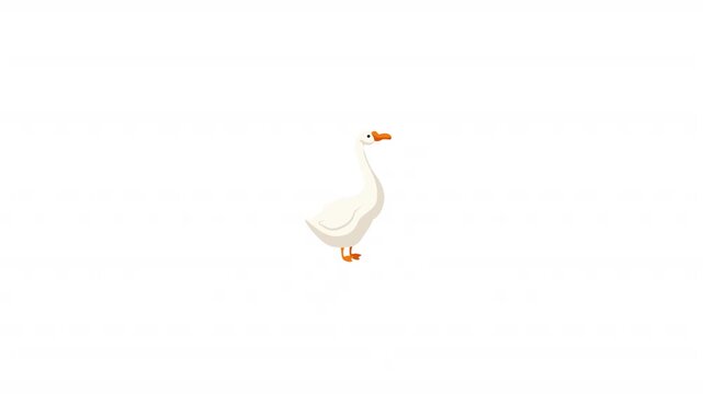 White Goose 