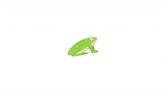 green frog 