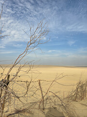 Desert Fayeoum sand © Mina Jaguar
