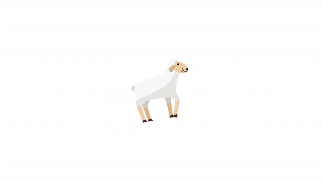 Sheep icon