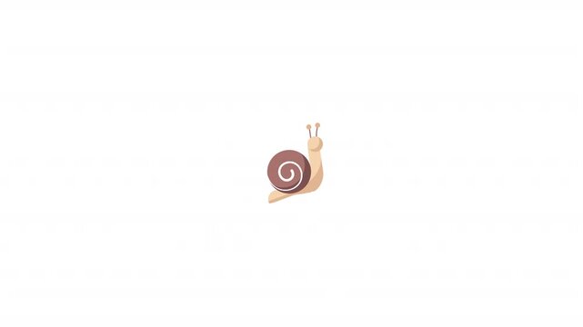 Snail Icon