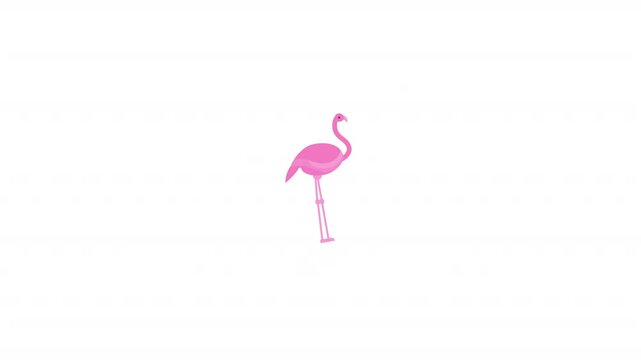 Pink Flamingo 