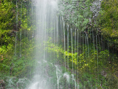 Close up of little waterfall on moss covered rocks in a forest, isle of Madeira Portugal