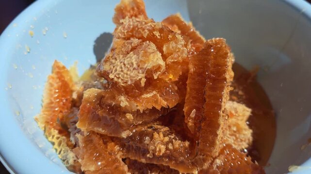 Freshly harvested raw natural honeycomb pieces with golden liquid honey filling blue bowl, close up view of sweet organic food product from apiary, healthy dessert ingredient for natural living