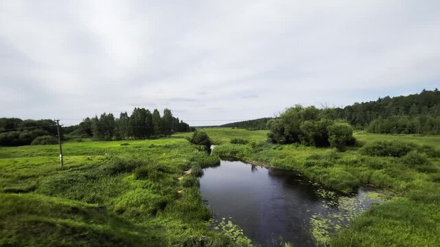 View from moving train window showing vast green fields, dense forest, calm river flowing, and utility pole under cloudy sky, capturing essence of journey through nature