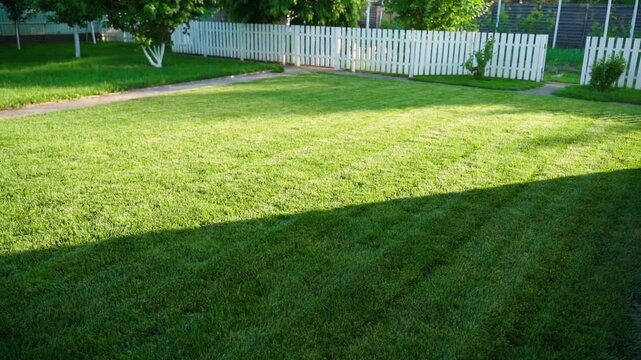 Freshly mowed green lawn in backyard with white picket fence in evening light 