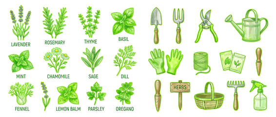 Fototapeta premium Watercolor Botanical Herbs and Gardening Tools Collection