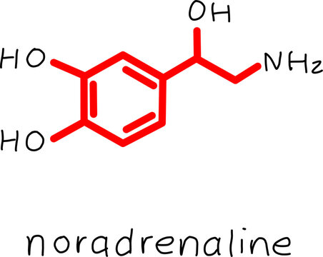 Noradrenaline molecular structure illustration in red, showing aromatic ring, hydroxyl and amine groups, isolated on white for science education use.