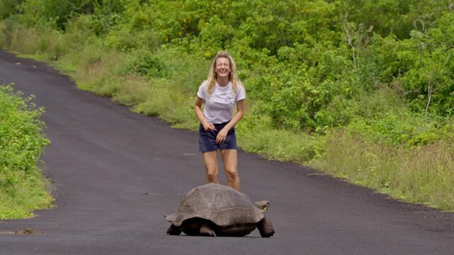 Joyful woman having fun jumping near a giant tortoise crossing a road in the galapagos islands