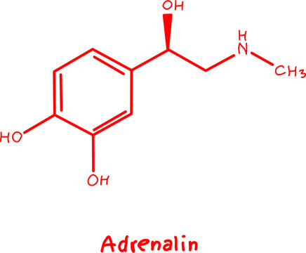 Adrenaline chemical structure illustration featuring molecular formula with labeled atoms, ideal for chemistry, medicine, biology, and education.